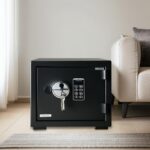 sejf-domu0259